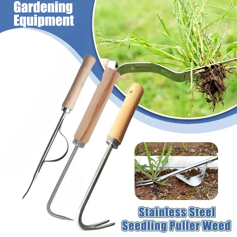 Grass Seed Spreader - Desmalezador de jardinería de acero inoxidable,