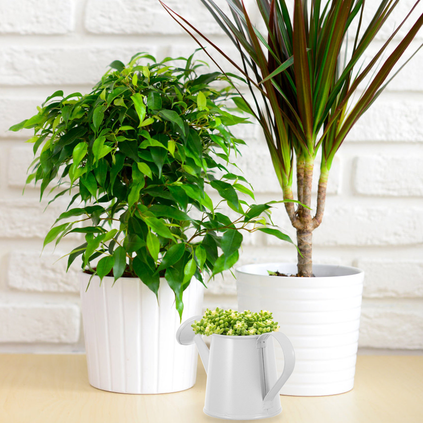 Gardening Tools Watering Can - Regadera de Hierro en Miniatura para
