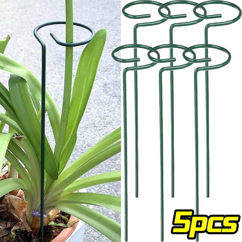 Anillo de estaca de soporte pa - Gardening Tools Hoe reseña y precio
