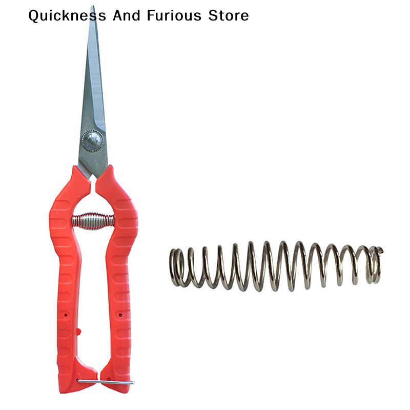 Juego de 5 resortes de repuest - Gardening Tools Australia reseña y precio