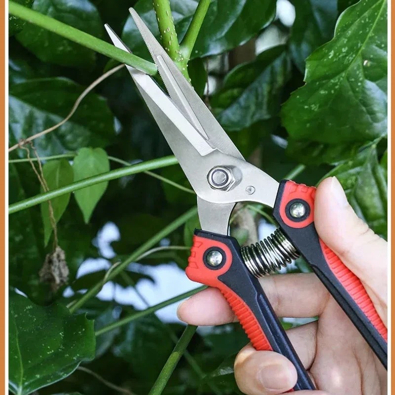 Tijeras de Podar NEWSHARK de A - Gardening Tools Sharp reseña y precio