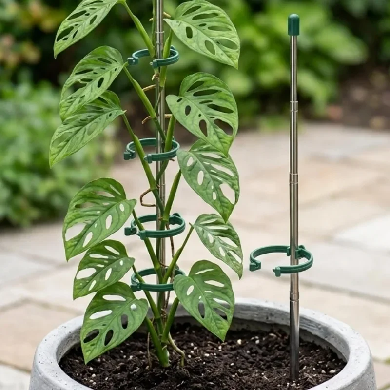 5/1PCS Anillos de Soporte Retr - Gardening Tools Hoe reseña y precio