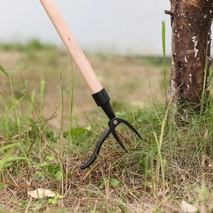 Herramienta desmalezadora de p - Grass Seed Spreader reseña y precio