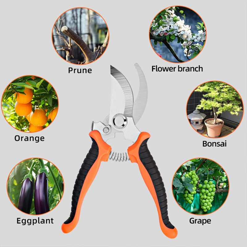 Tijeras de jardinería con mang - Gardening Tools Sharp reseña y precio