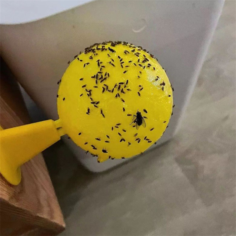 Trampa Adhesiva Amarilla para  - Pest Trap Yellow Sticky reseña y precio