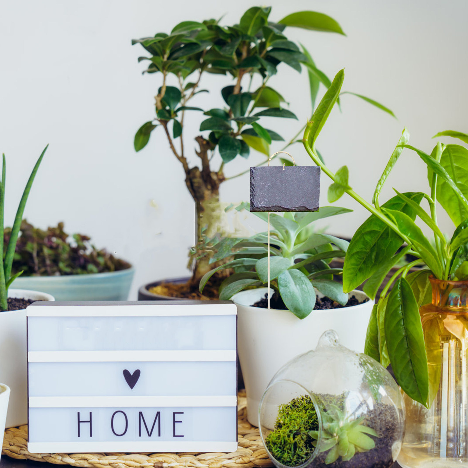 10 unidades de ganchos metálic - Plant Label Tags reseña y precio