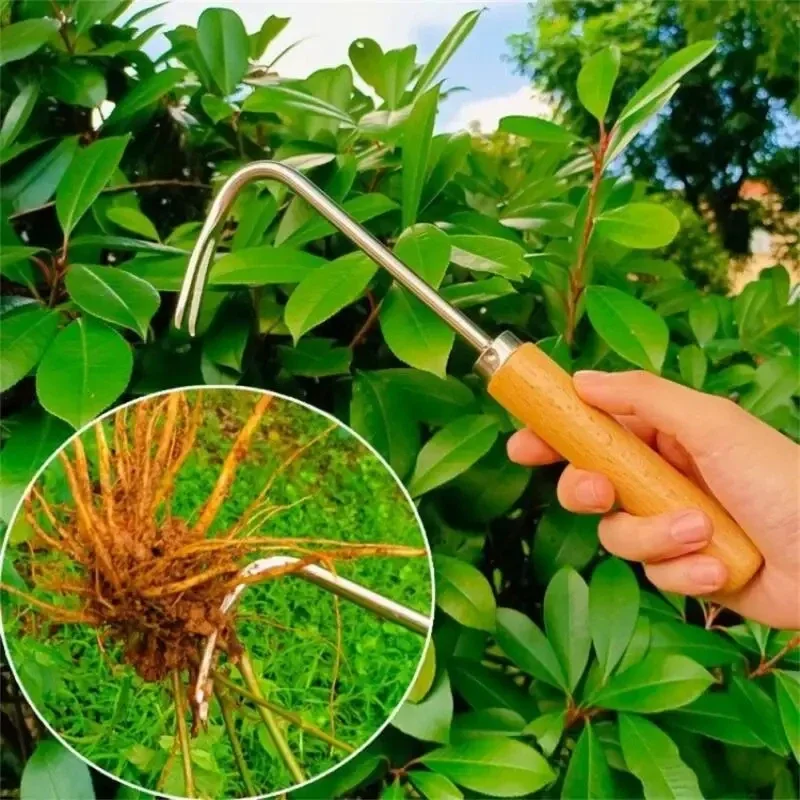 Desmalezador de jardinería de  - Grass Seed Spreader reseña y precio