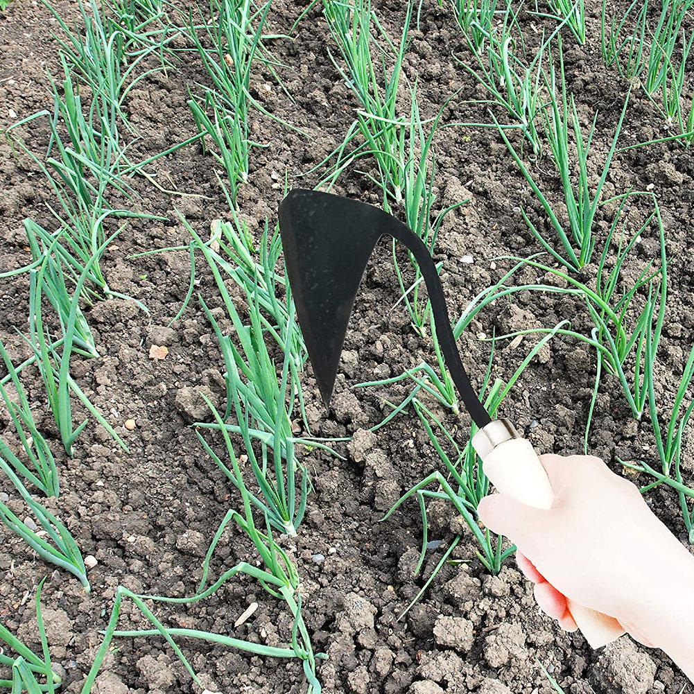 Herramientas Agrícolas: Azada  - Gardening Tools Hoe reseña y precio