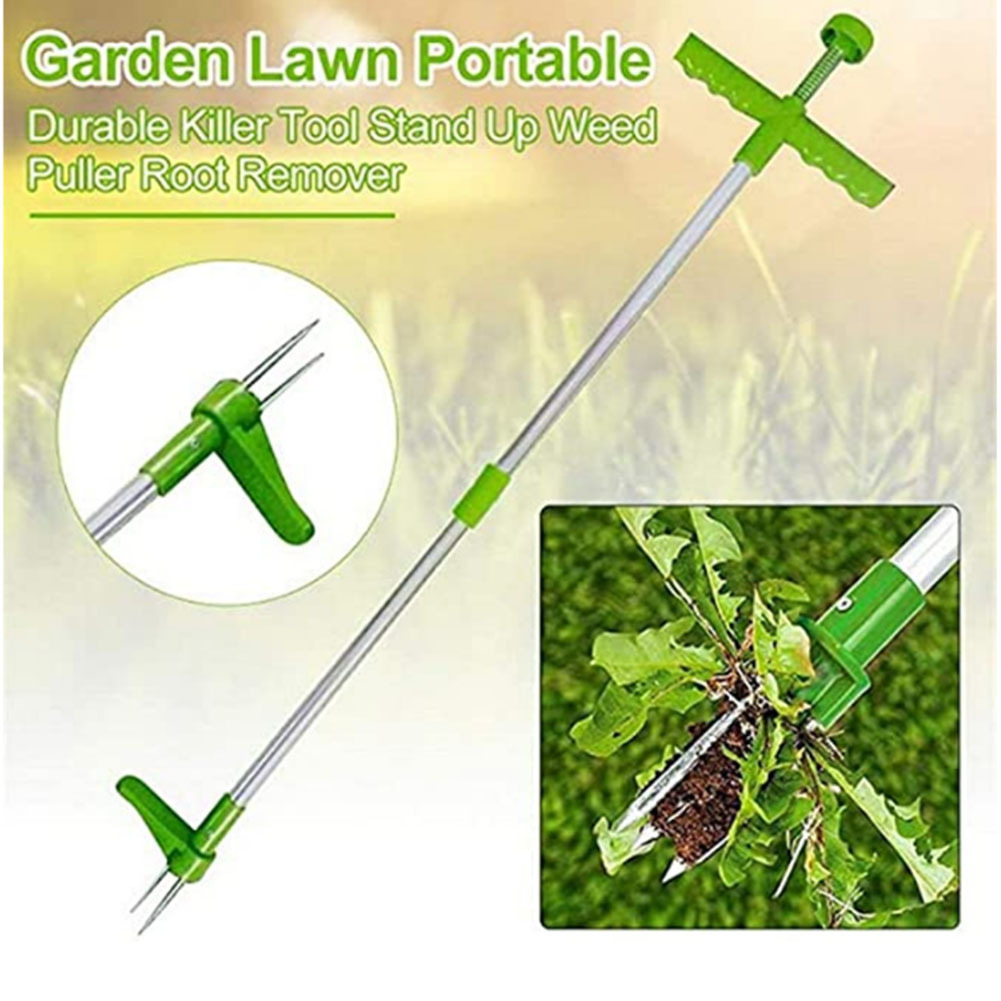 Herramienta asesina duradera m - Grass Seed Spreader reseña y precio