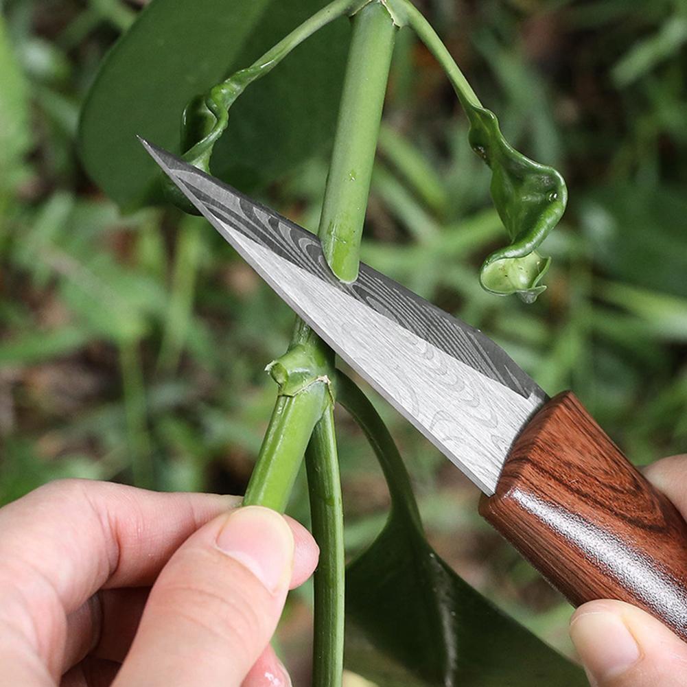 Cuchillo de injerto afilado co - Gardening Tools Sharp reseña y precio