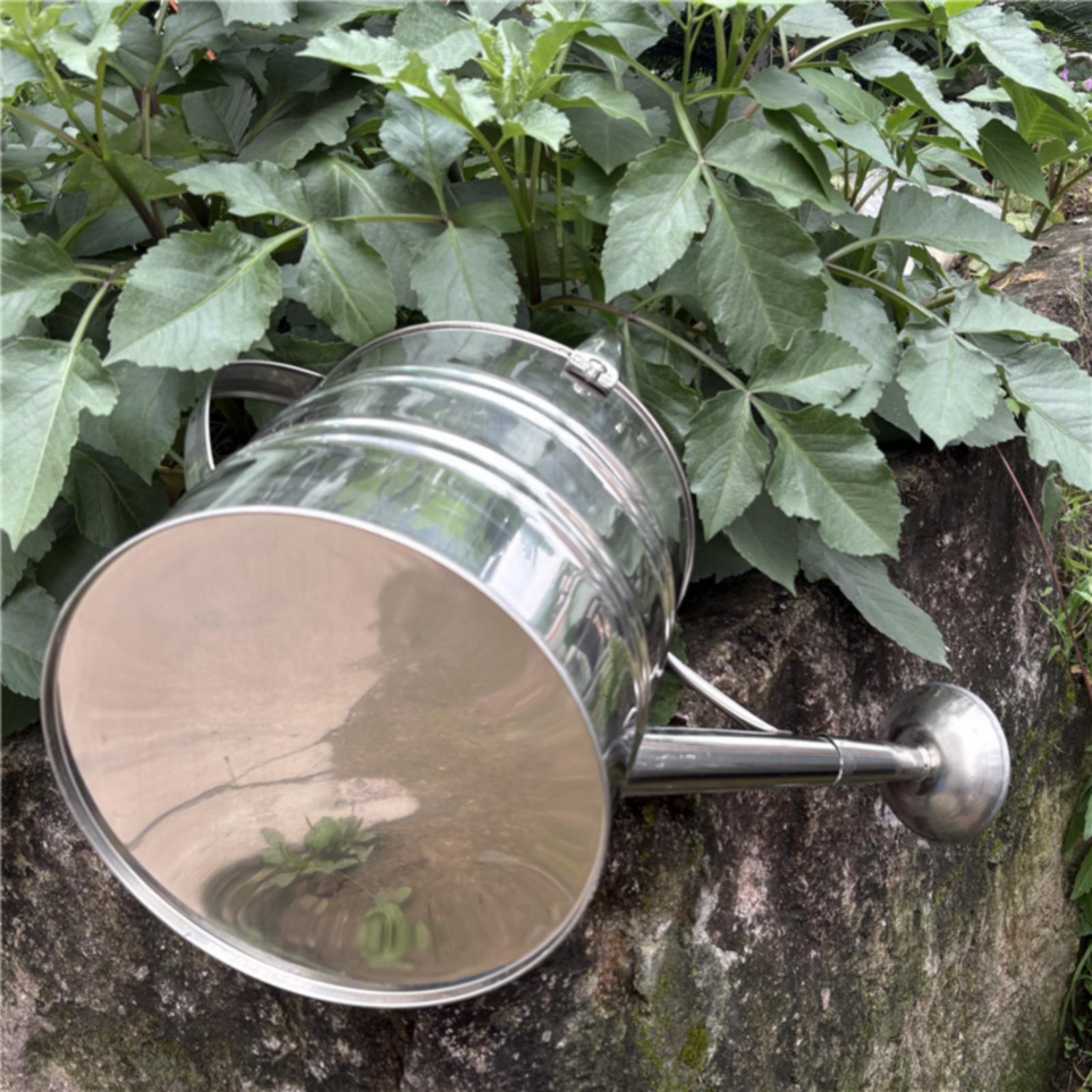 Regadera de Acero Inoxidable p - Gardening Tools Watering Can reseña y precio
