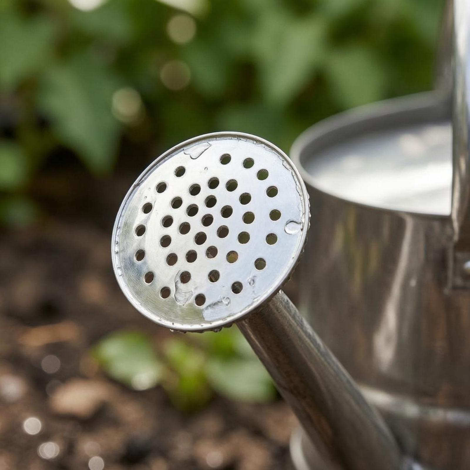 Regadera de Acero Inoxidable p - Gardening Tools Watering Can reseña y precio