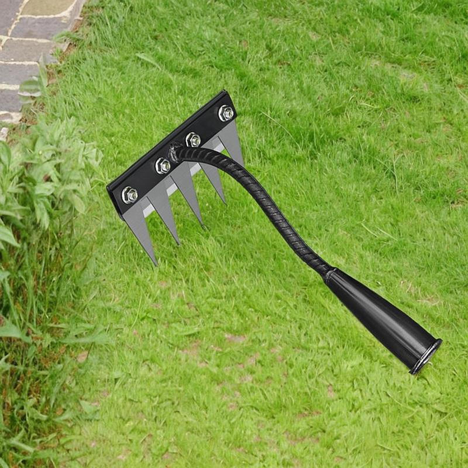 Herramienta de desmalezado de  - Grass Seed Spreader reseña y precio