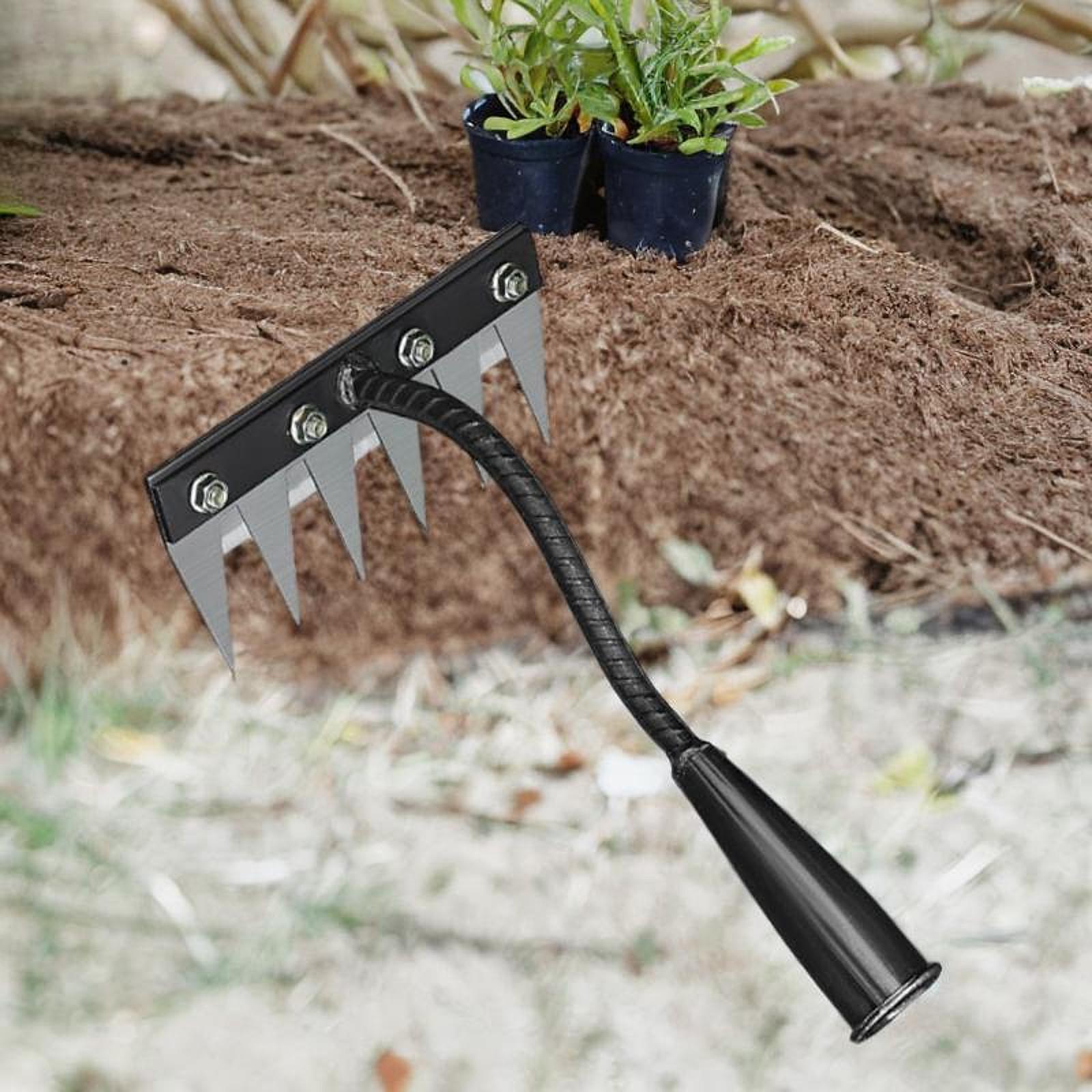 Herramienta de desmalezado de  - Grass Seed Spreader reseña y precio
