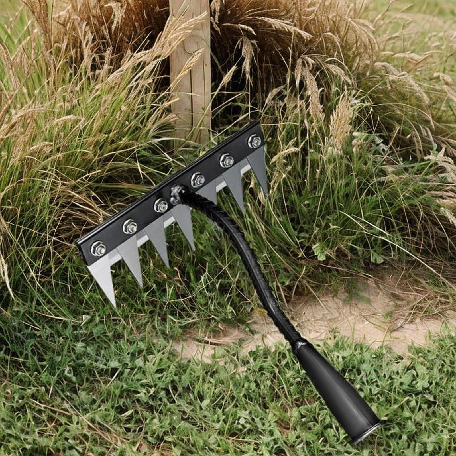 Herramienta de desmalezado de  - Grass Seed Spreader reseña y precio