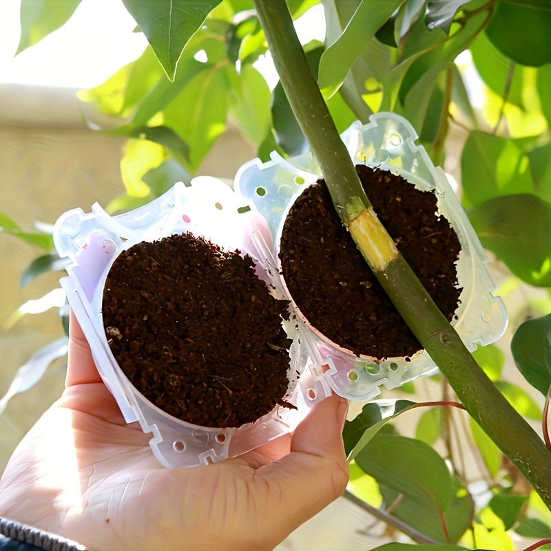 Kit de 10 Piezas para Propagac - Gardening Tools Organizer reseña y precio