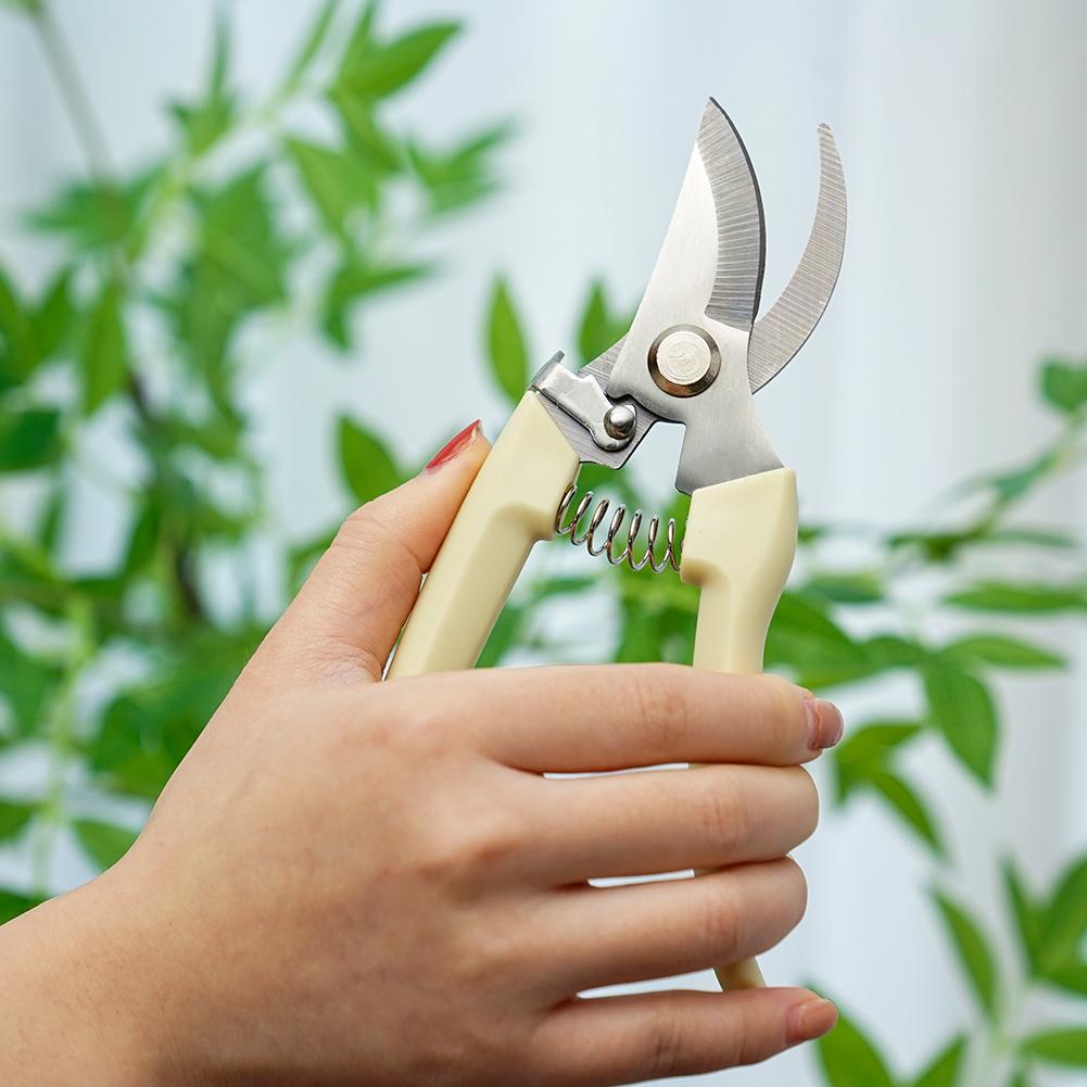 Tijeras de jardín para plantas - Gardening Tools Australia reseña y precio