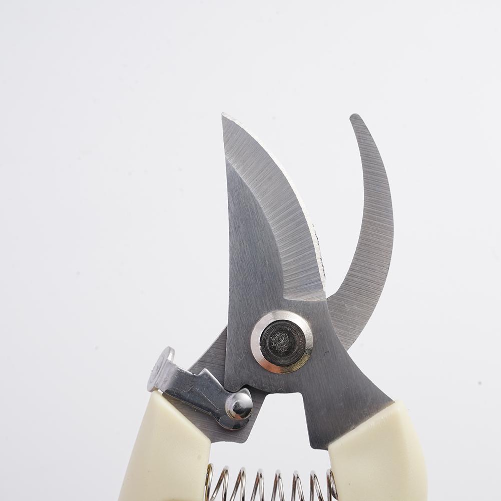Tijeras de jardín para plantas - Gardening Tools Australia reseña y precio